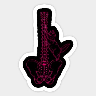 Cat Scratch Fever (pink) Sticker